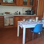 Il Timo *