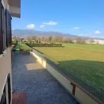 Il Timo