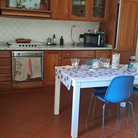 Il Timo *