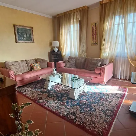 Il Timo Capannori