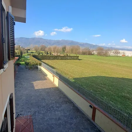 Il Timo